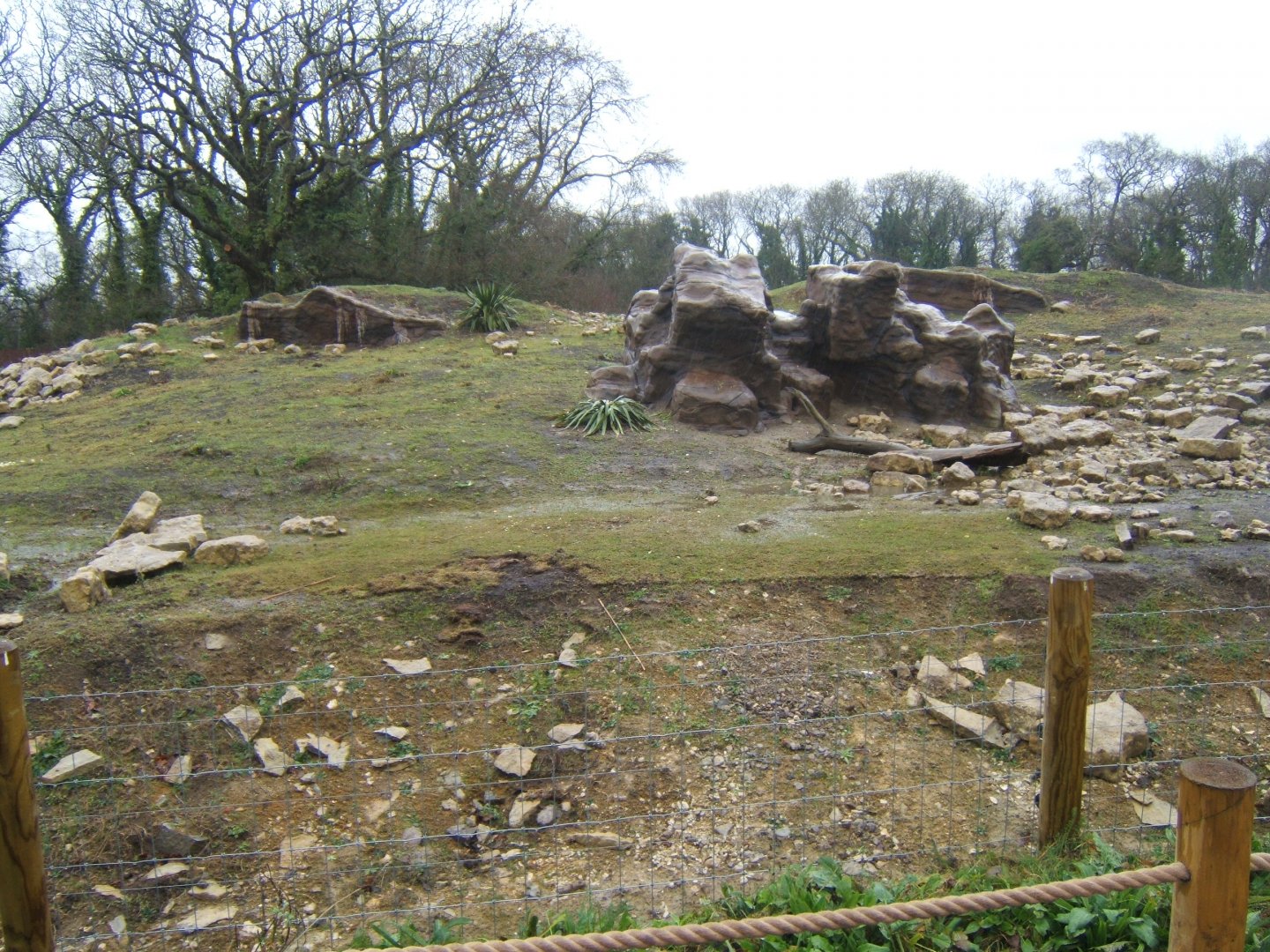 29/1/2017 View of Gelada exhibit