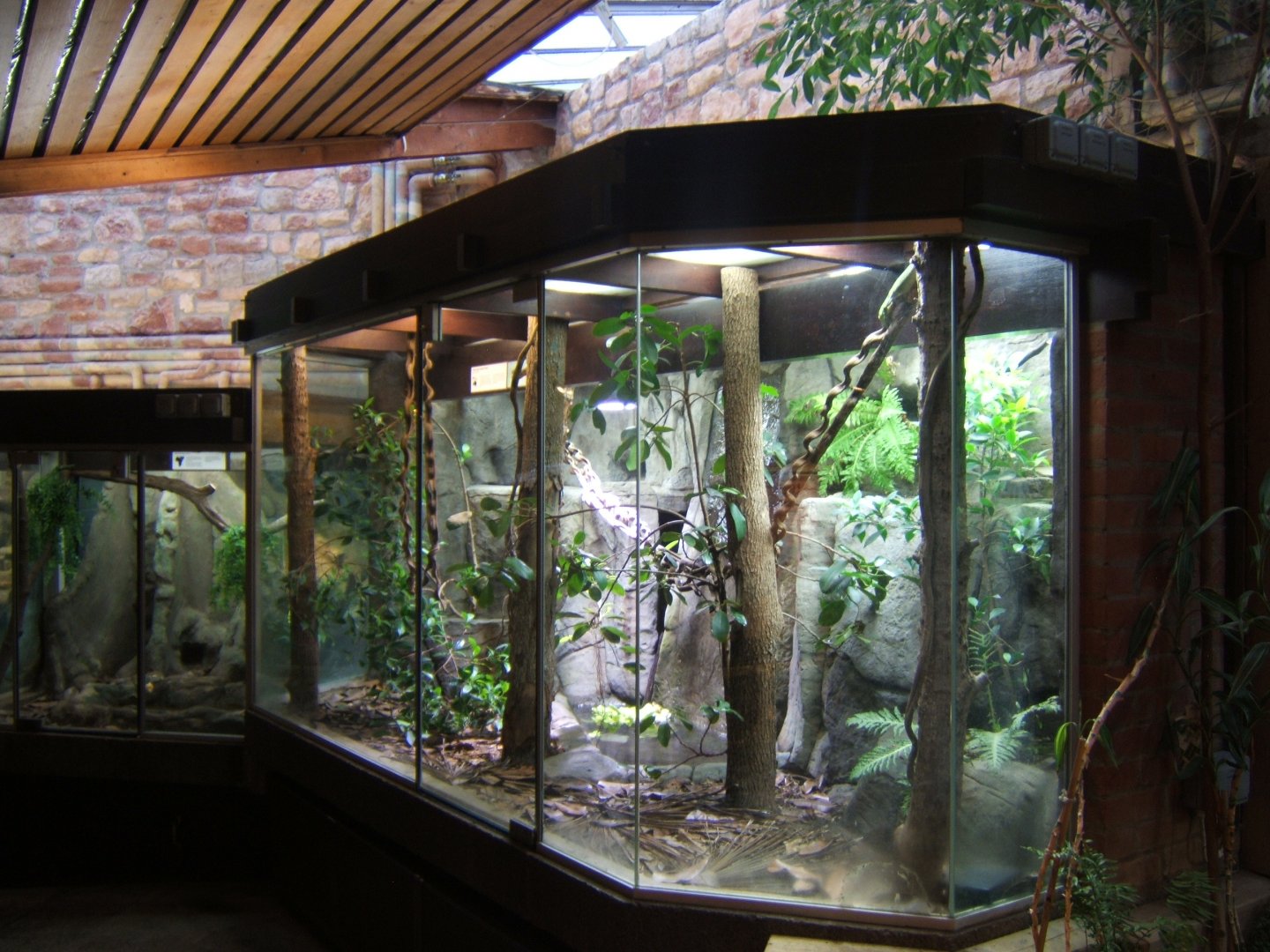 29/1/2017 View of Green Tree Monitor exhibit