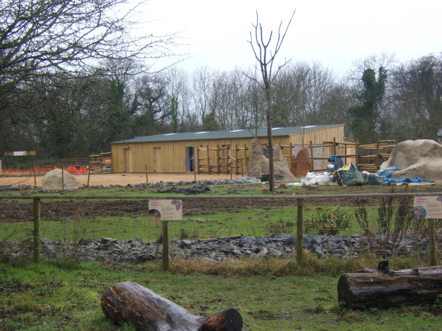 29/1/2017 View of new Eland and Zebra stals