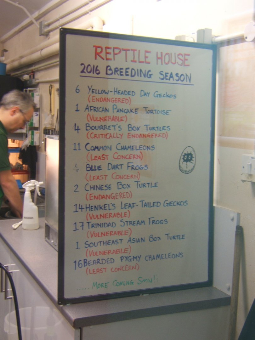 29/1/2017 View of Reptile breeding's board for 2016