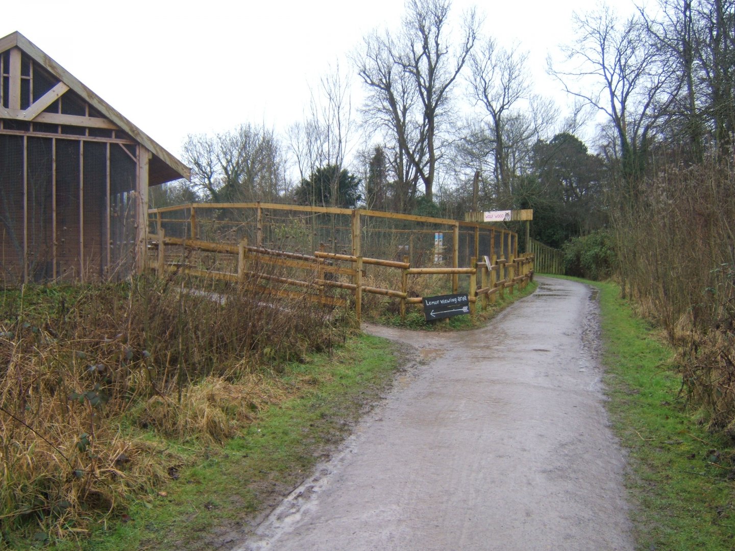 29/1/2017 View of the Lake Alaotra Gentle Lemur exhibit