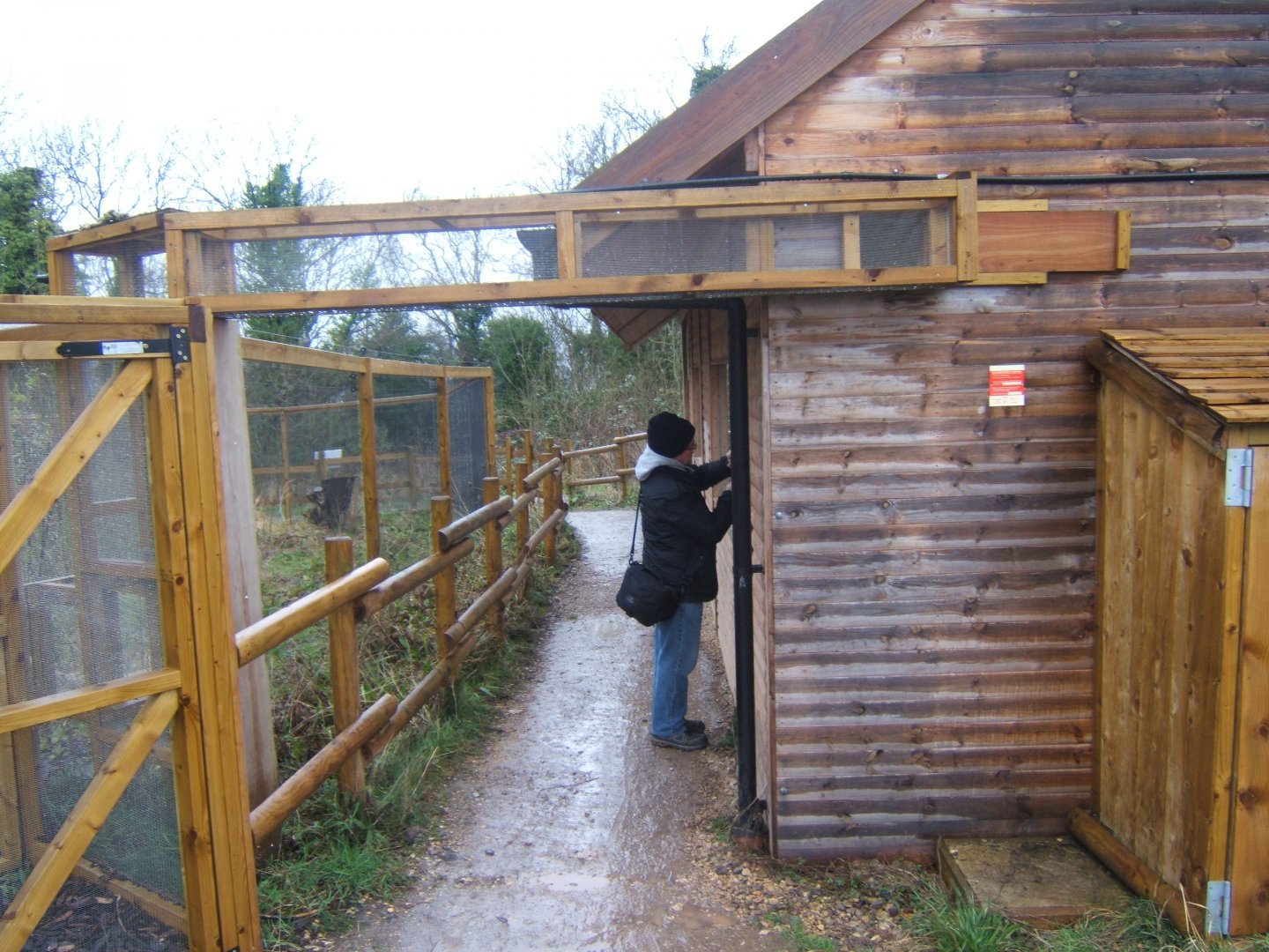 29/1/2017 View of the Lake Alaotra Gentle Lemur exhibit