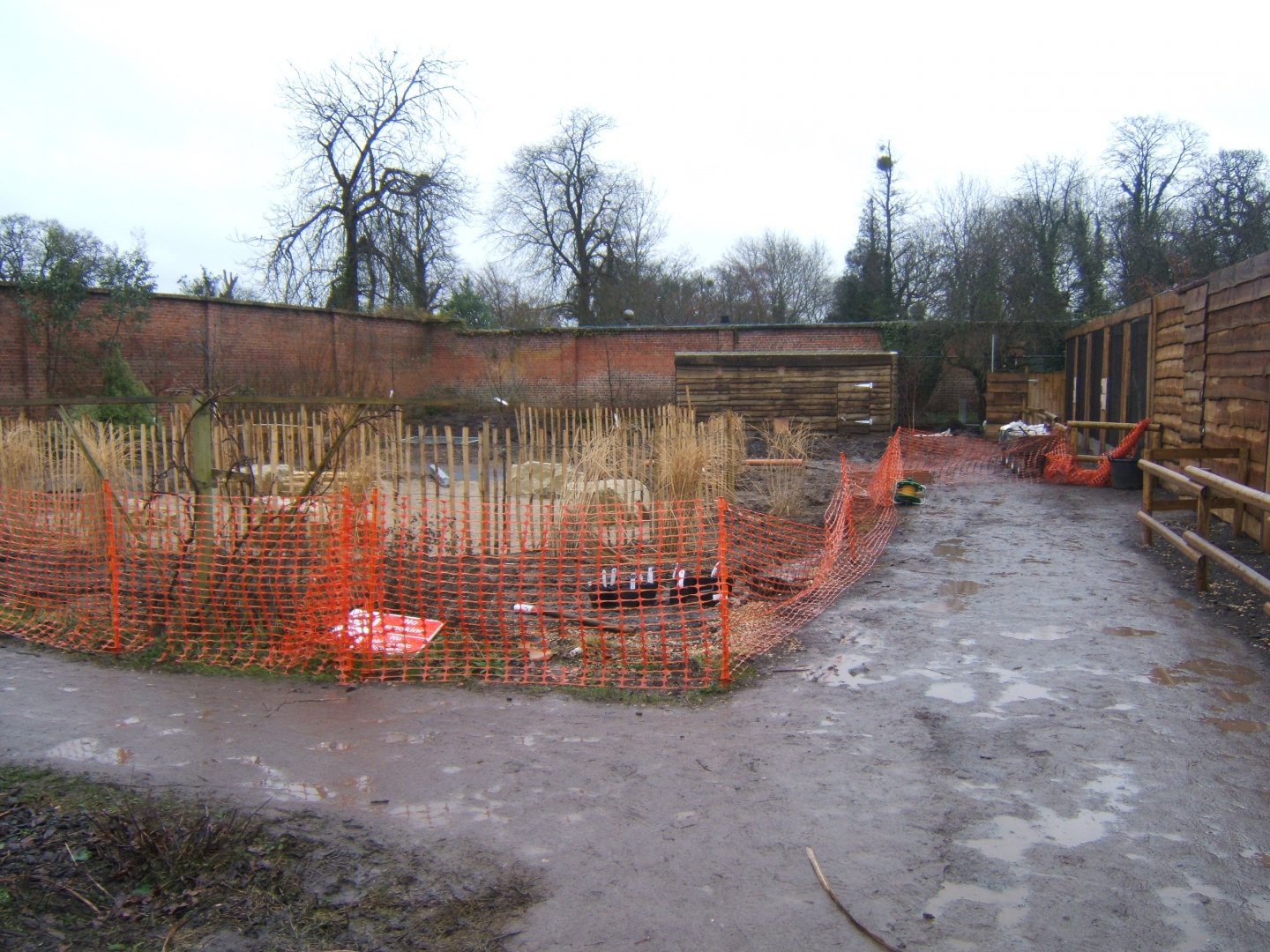 29/1/2017 View of work in walled gardens