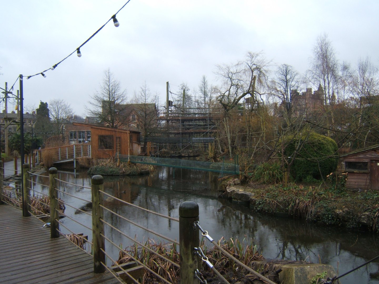 29/1/2017 View of work on Agile Gibbon enclosure