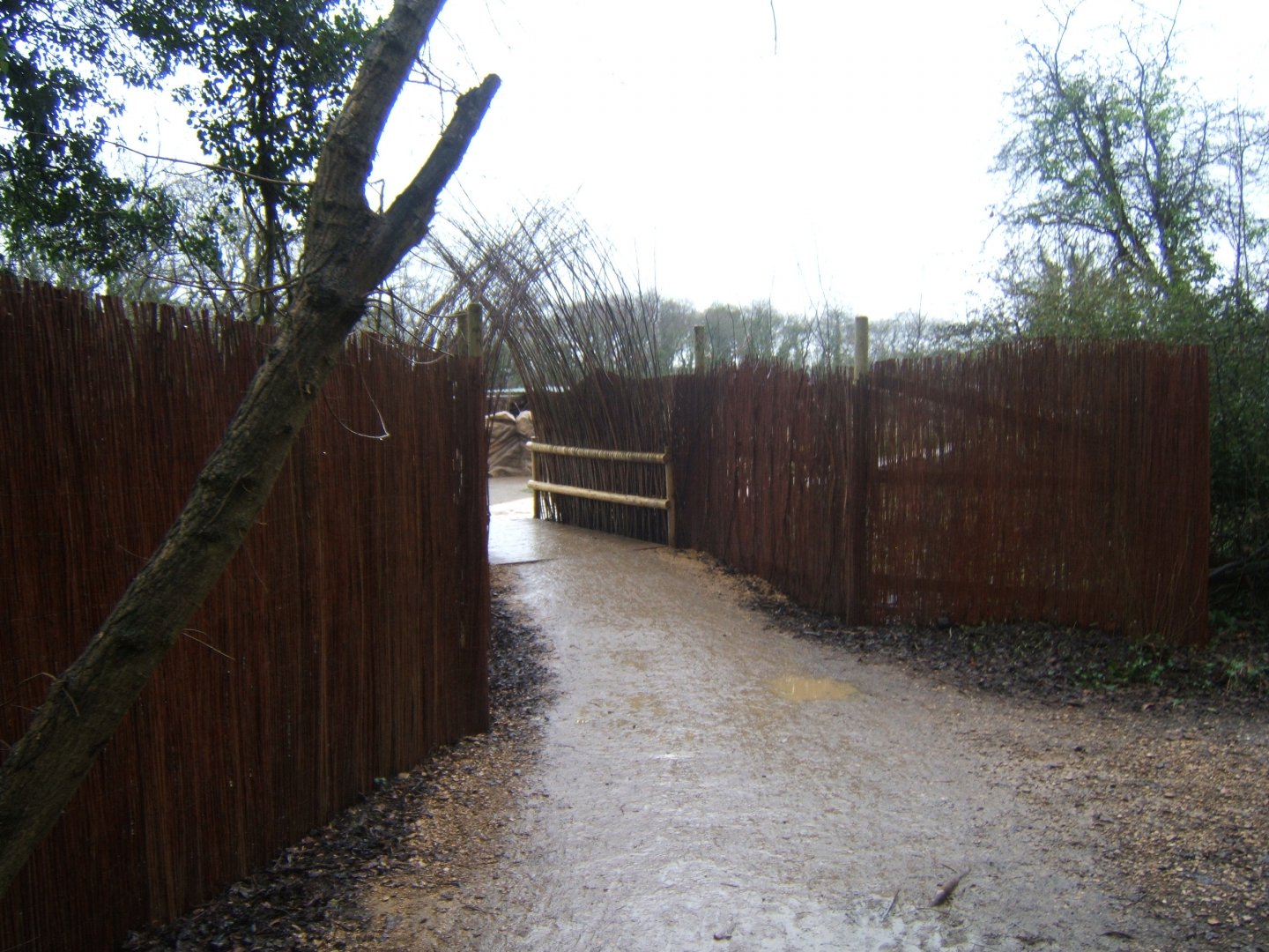 29/1/2017 view towards Gelada exhibit
