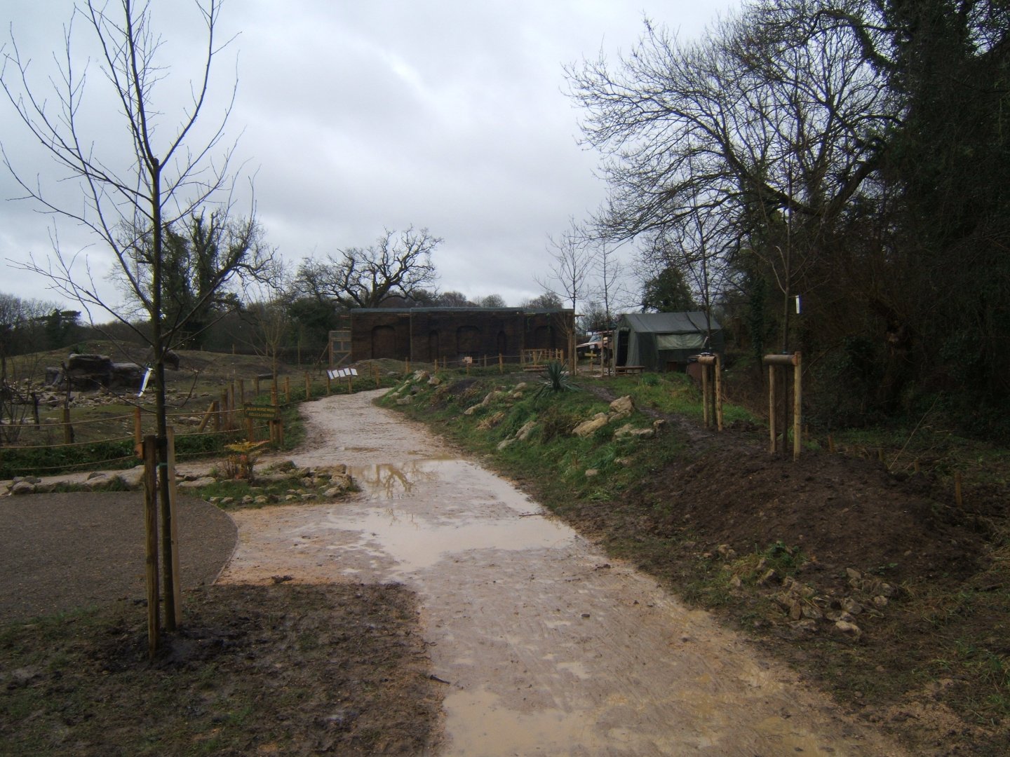 29/1/2017 View towards Gelada House