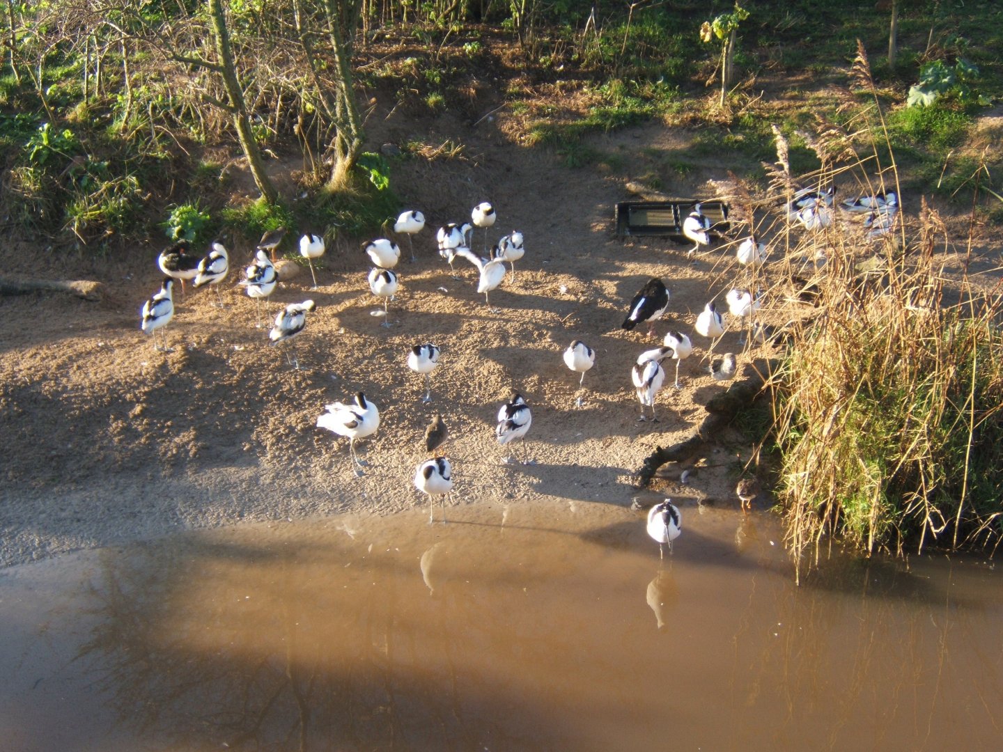 29/12/2016 view of part of wader beach