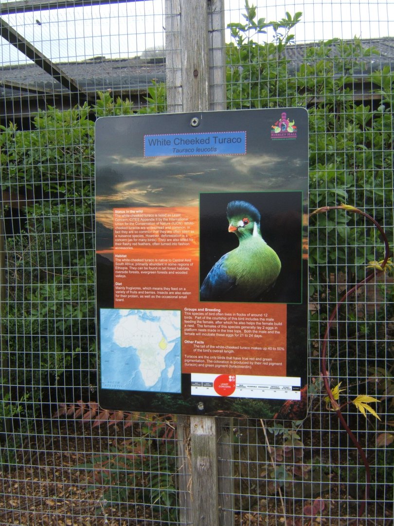 29/4/2017 Signage style