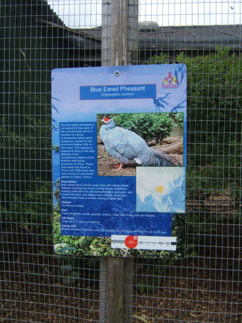 29/4/2017 Signage style