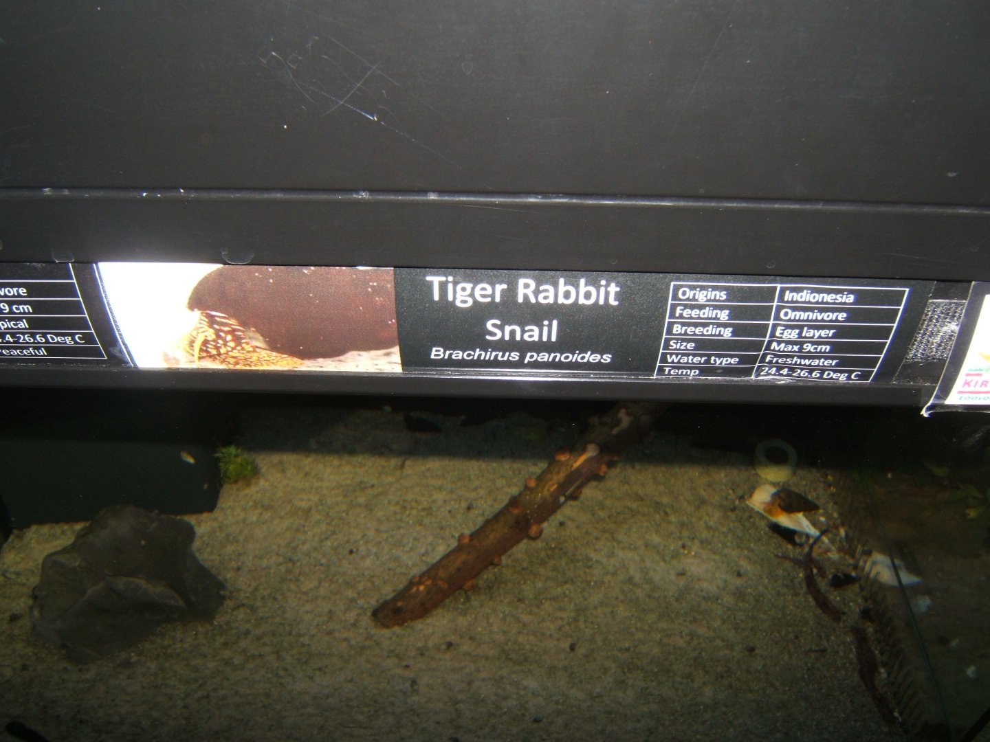 29/4/2017 Signage style