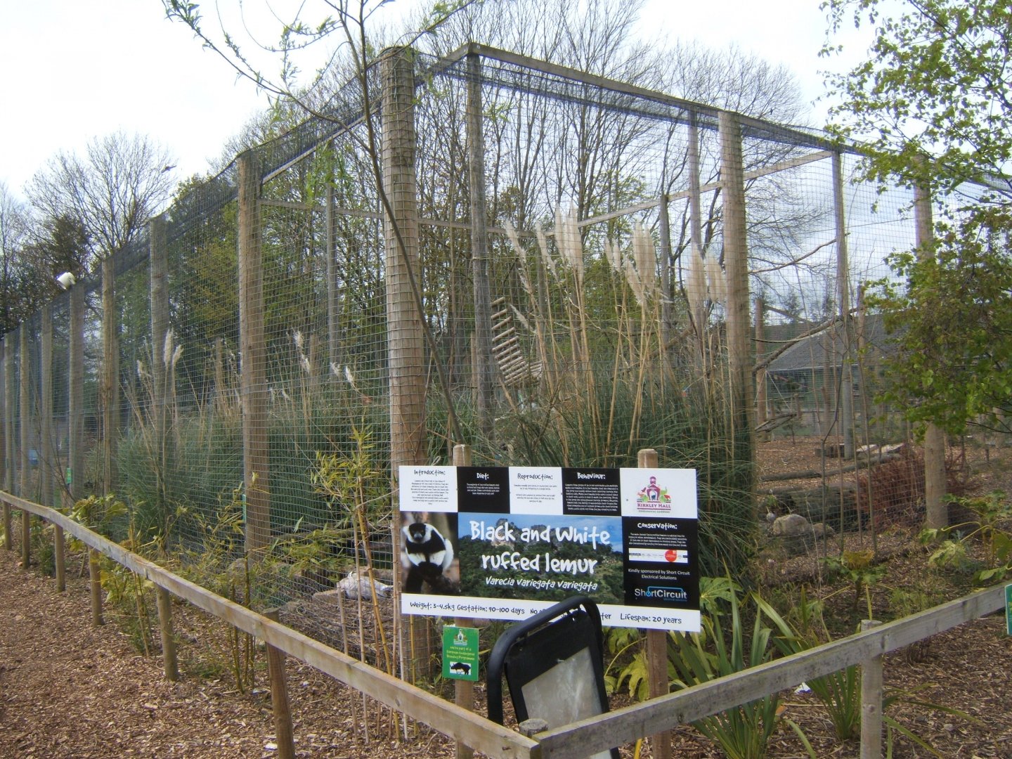 29/4/2017 View of Black and White Ruffed Lemur enclosure