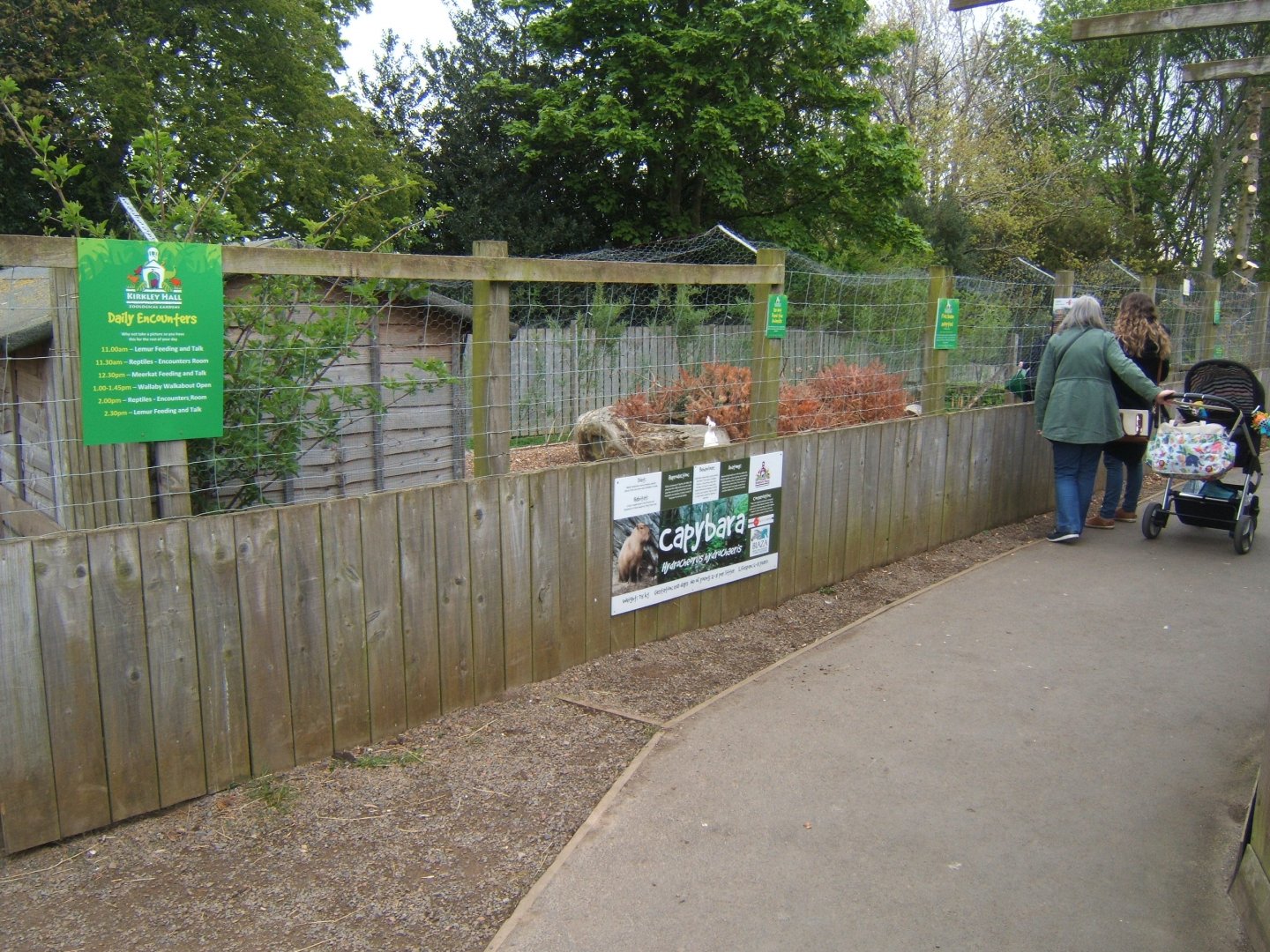 29/4/2017 View of Capybara enclosure