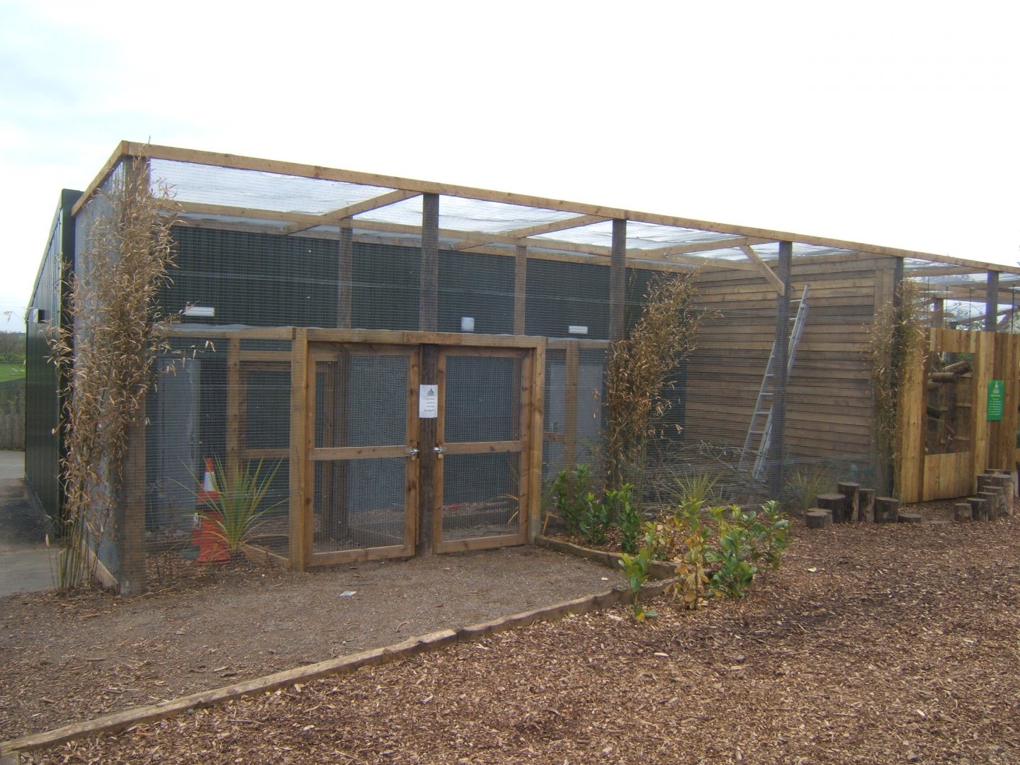 29/4/2017 View of future Lorikeet walk through