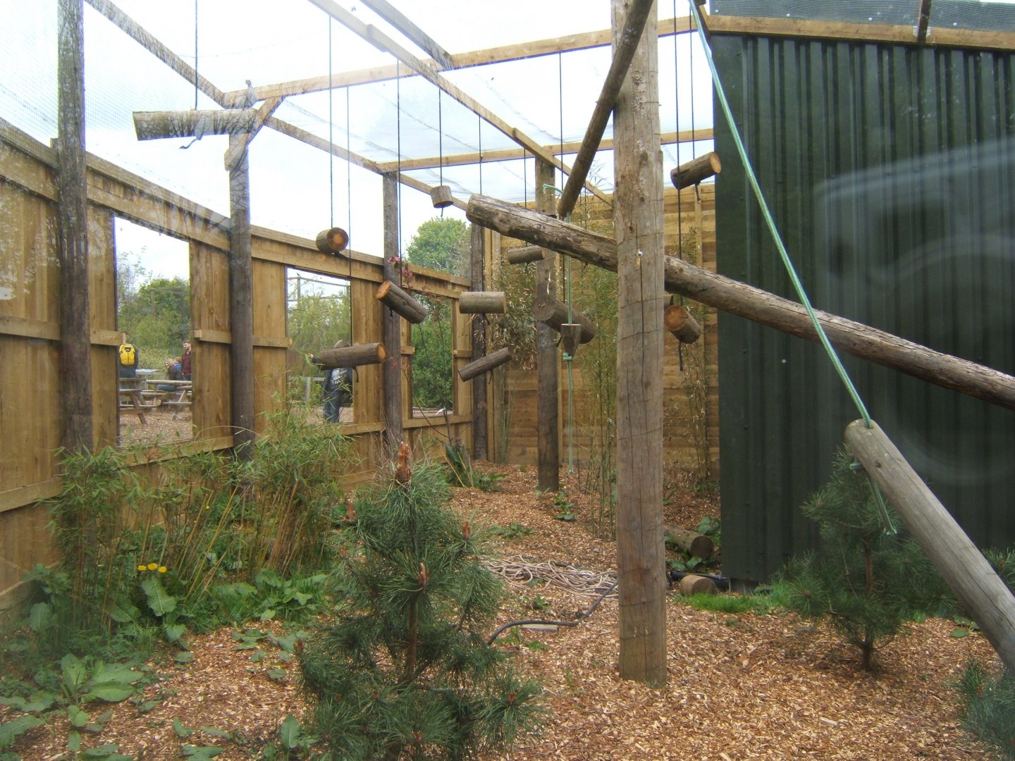 29/4/2017 View of future Squirrel Monkey enclosure