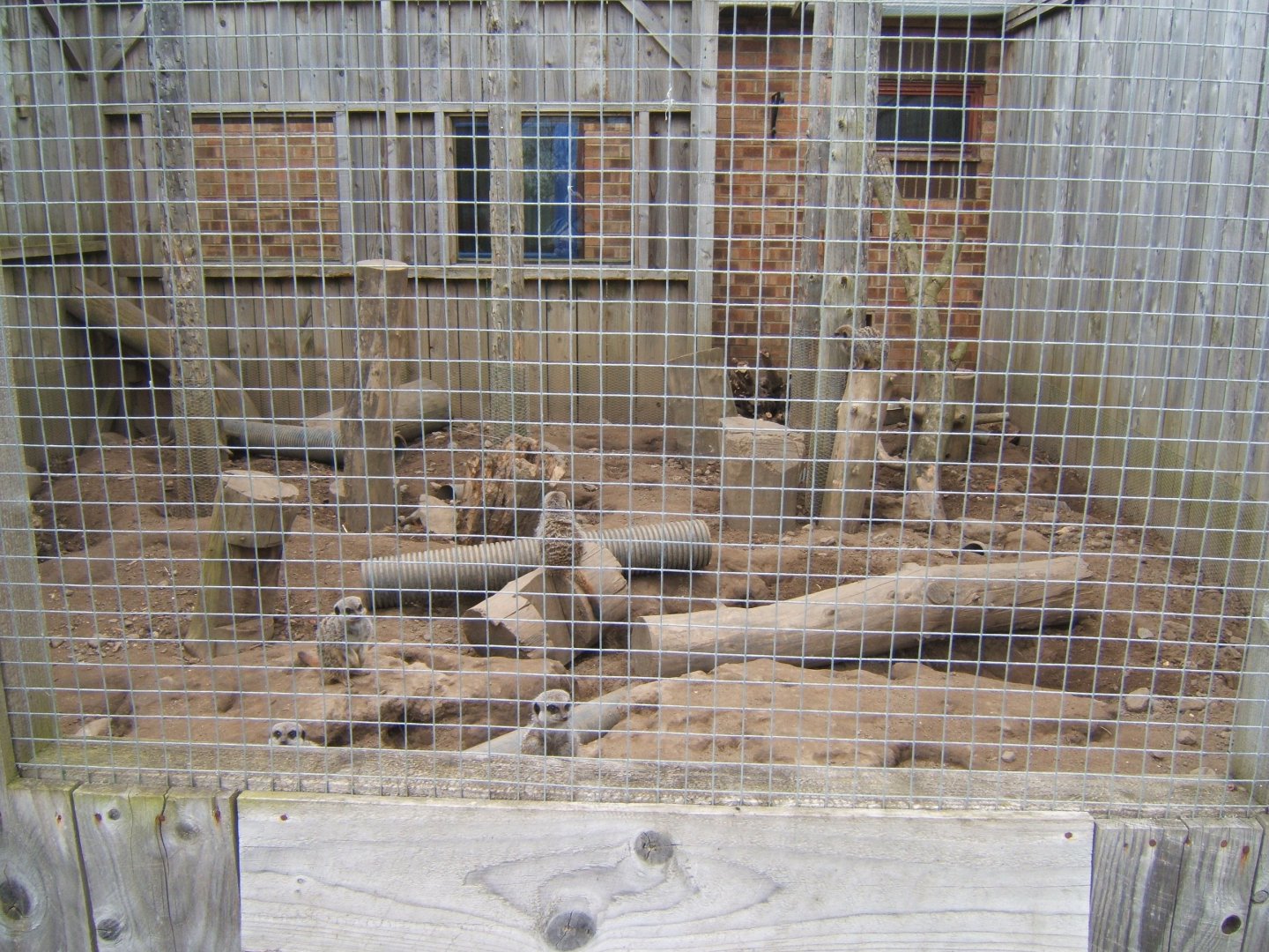 29/4/2017 View of Meerkat enclosure