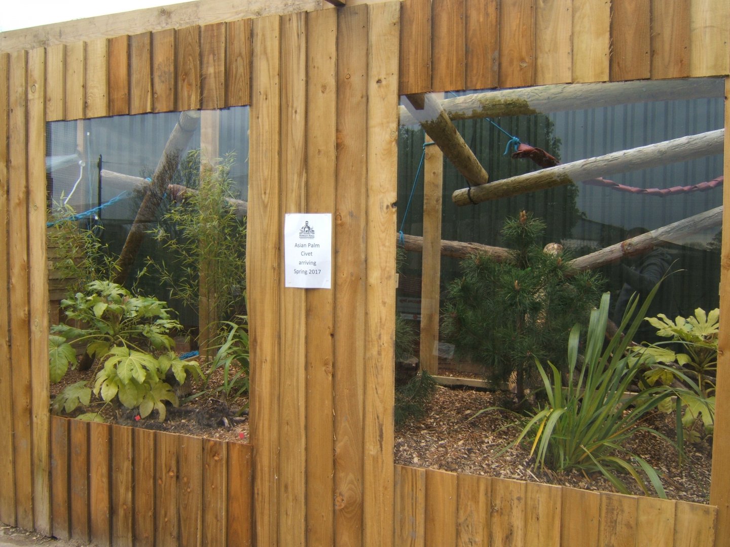 29/4/2017 View of new Common Palm Civet enclosure