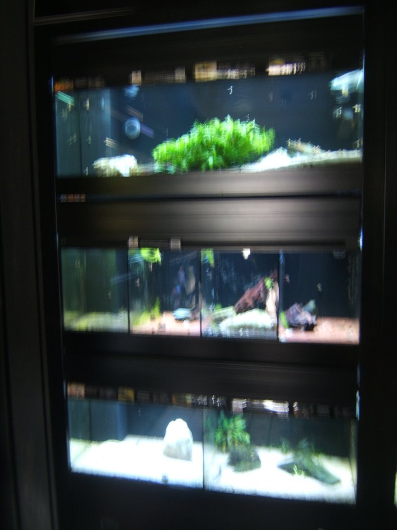 29/4/2017 View of part of Aquarium