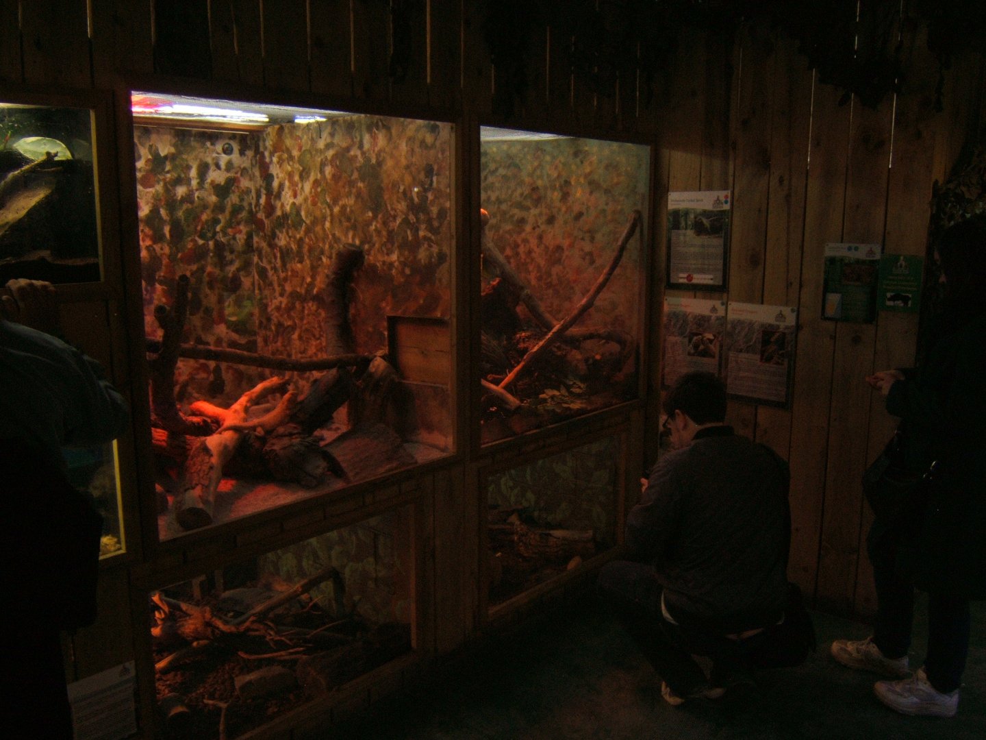29/4/2017 View of part of the Herp exhibits