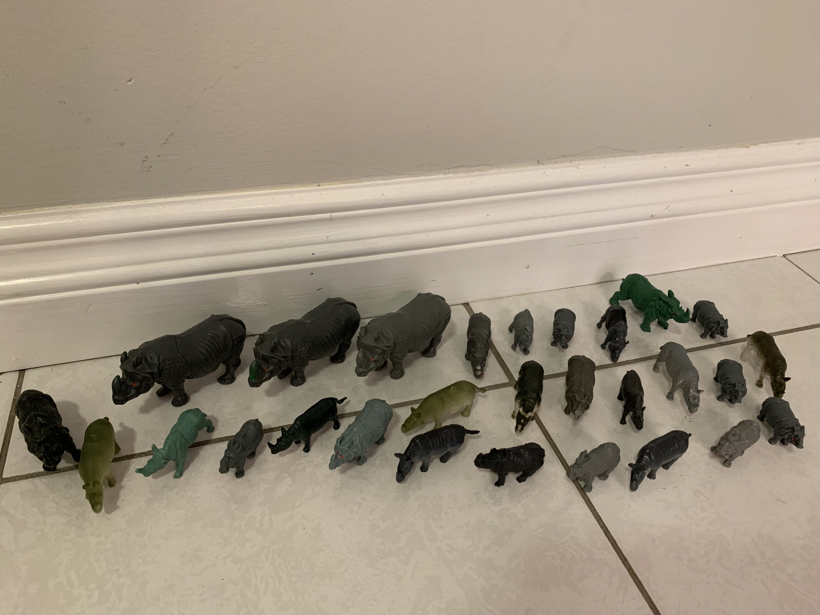 29 Rhinos