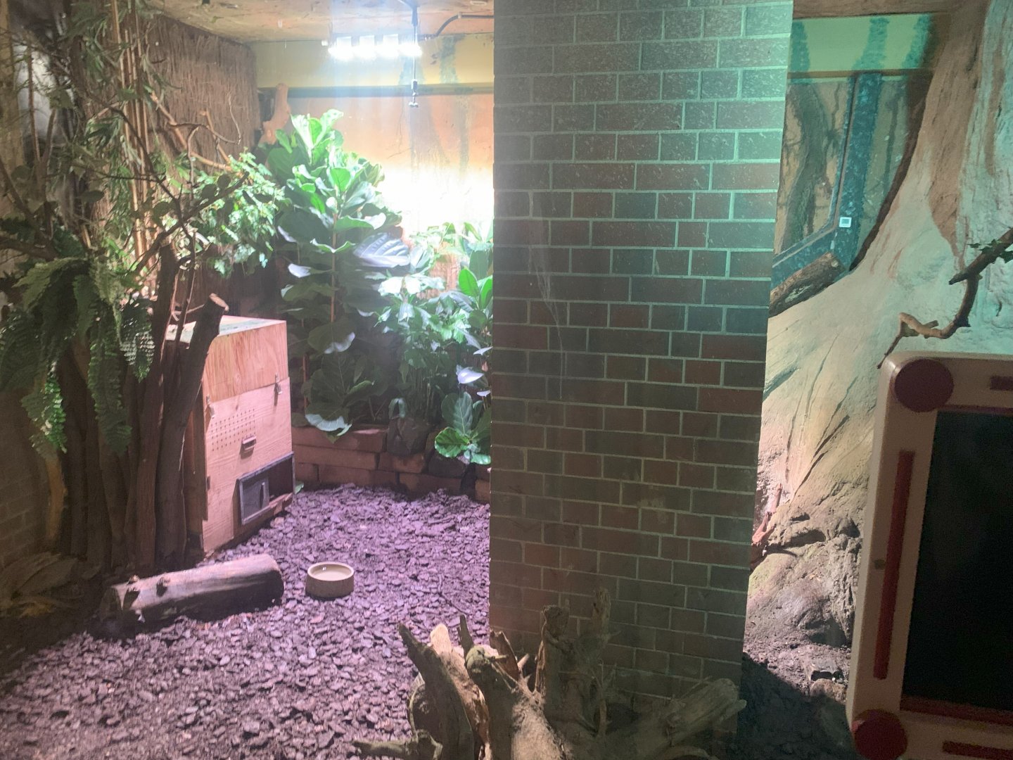 2nd Chinese Pangolin enclosure - Asia