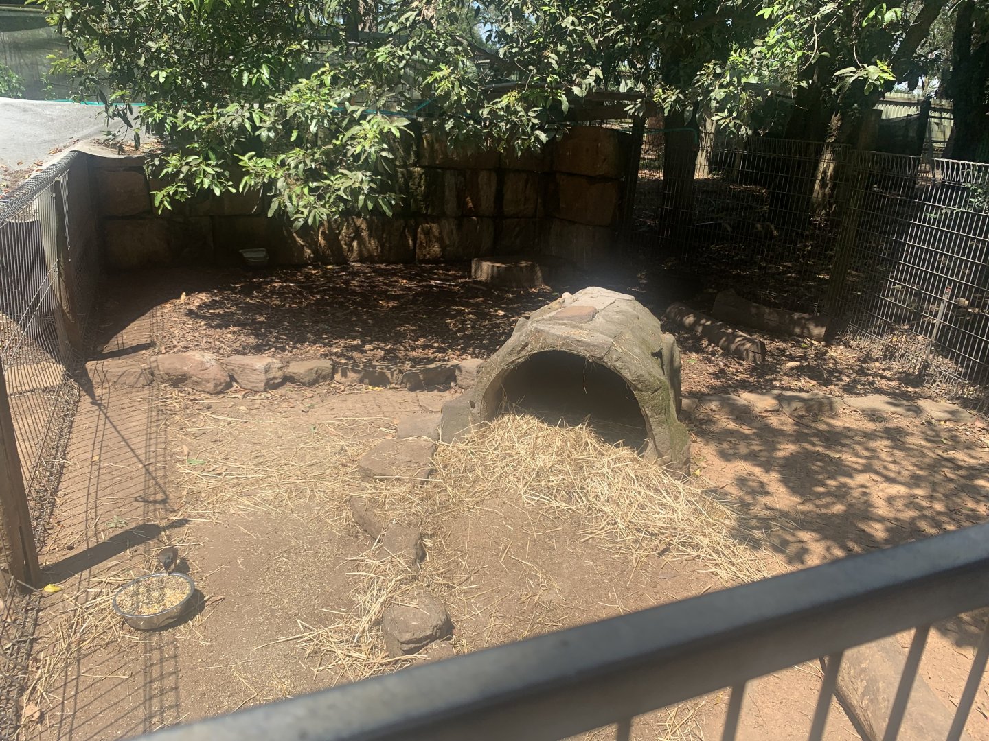 2nd Common Wombat exhibit (Wombat is in back of the log burrow but can barely see in photo)