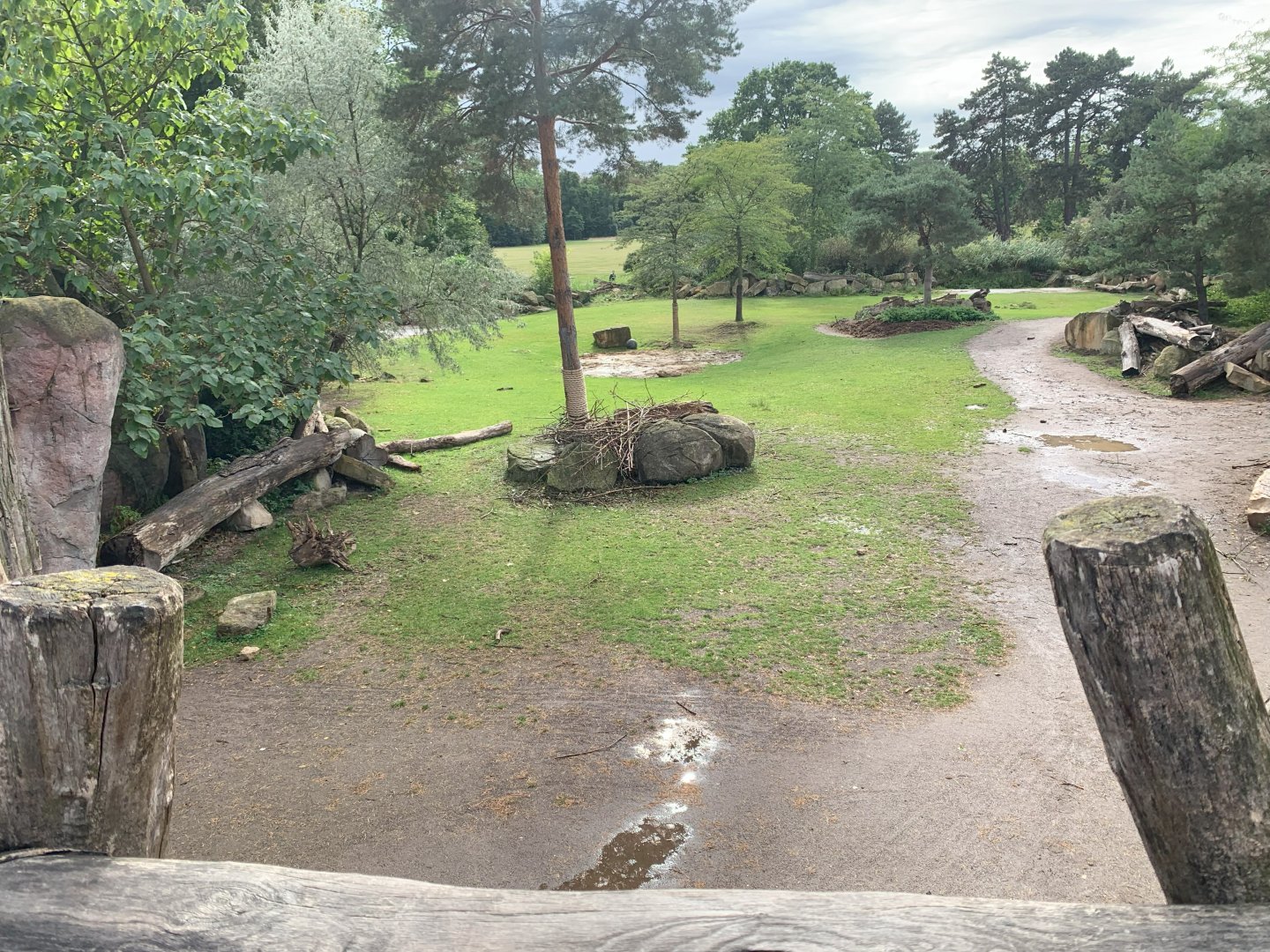 2nd Eastern Black Rhinoceros enclosure - Africa