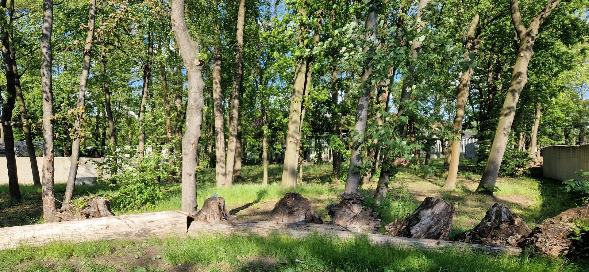 2nd Elephant outdoor exhibit