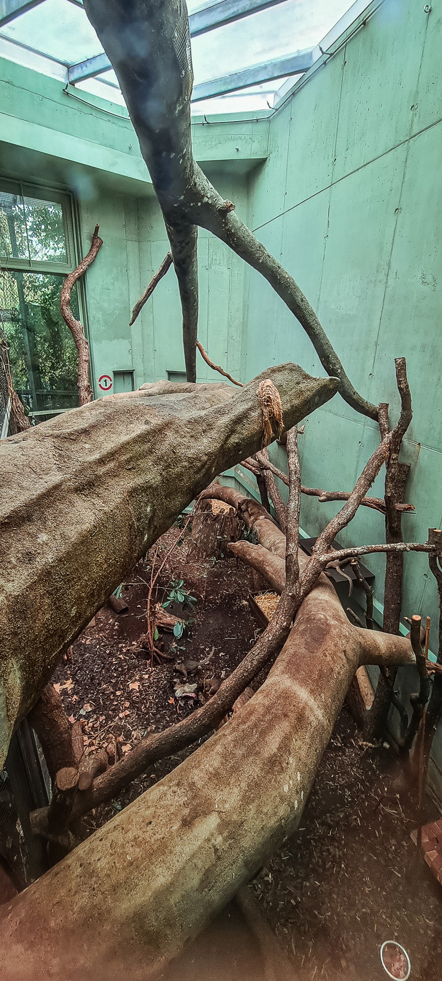 2nd fossa indoor enclosure