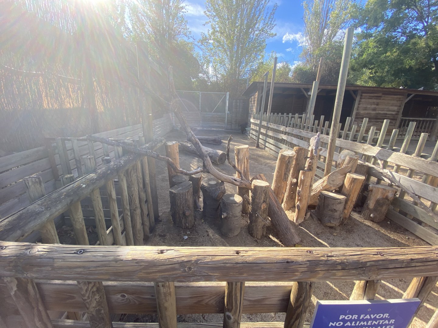 2nd goat enclosure