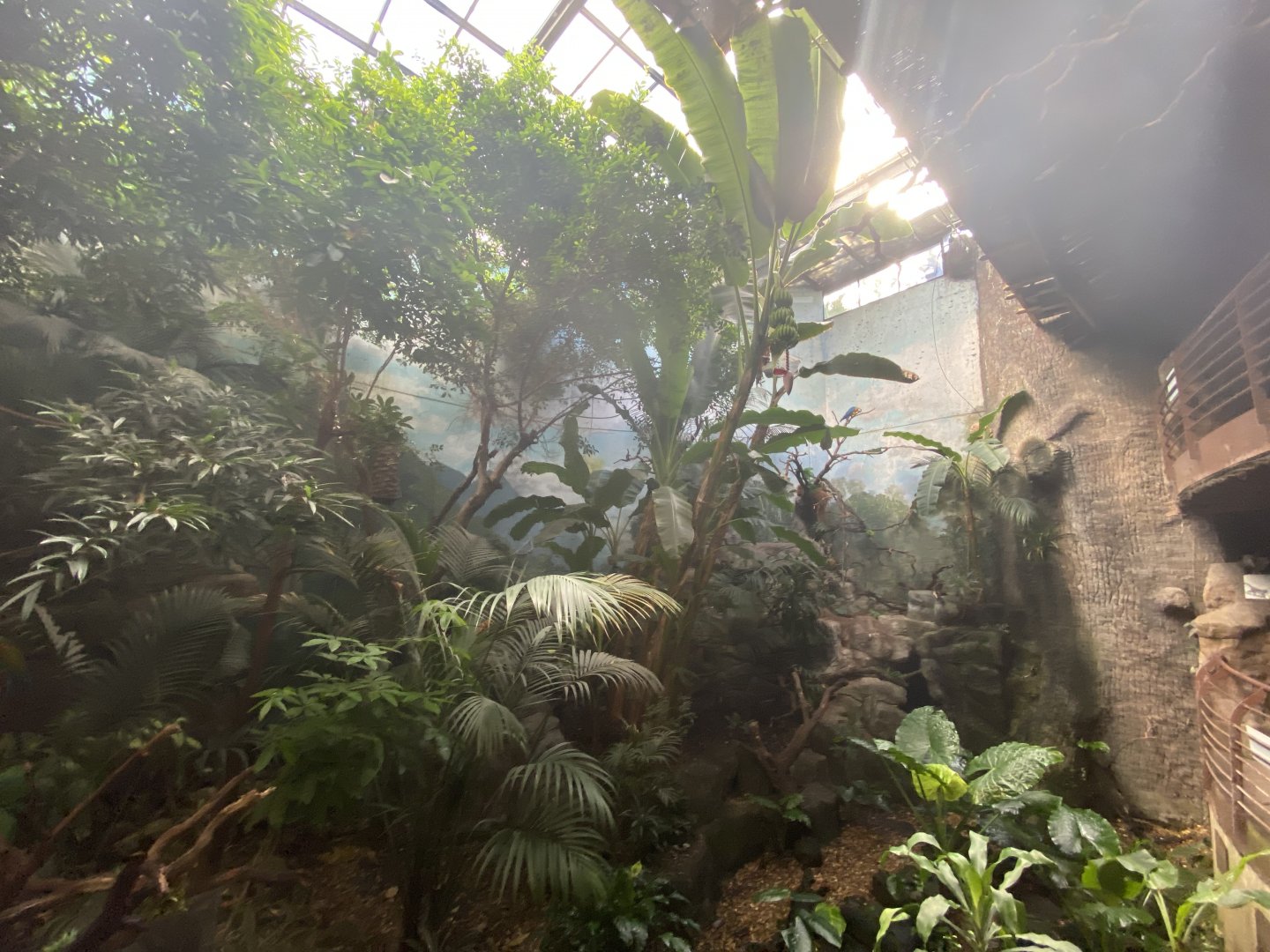 2nd ground view of open South American enclosure