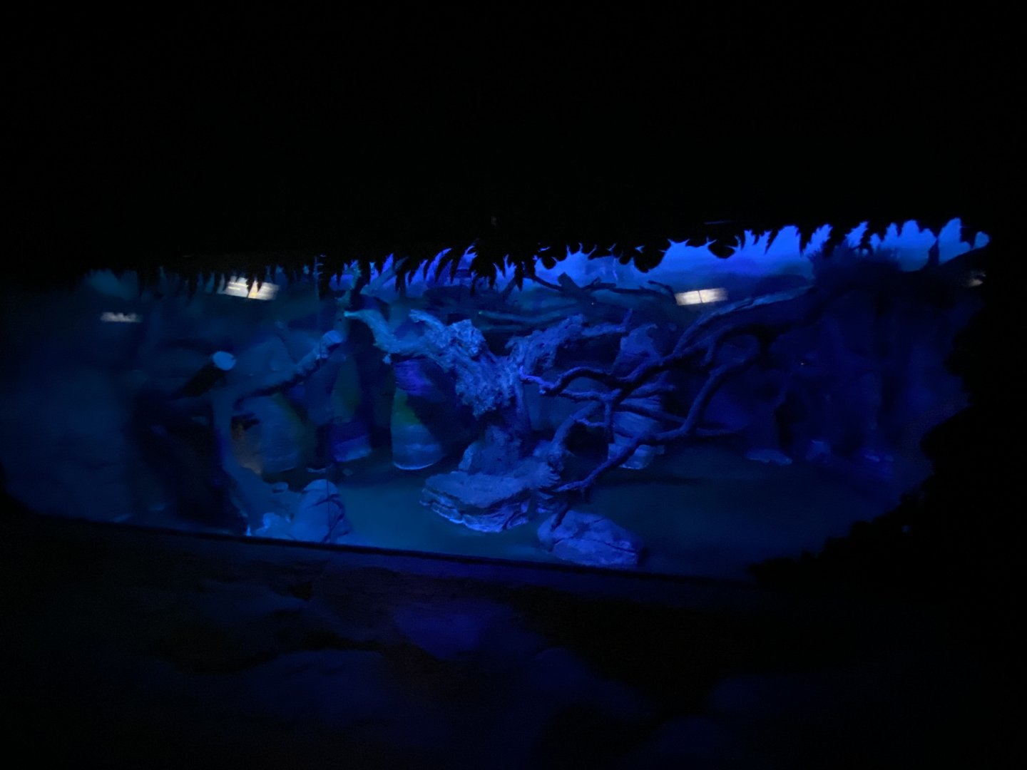 2nd half of binturong enclosure