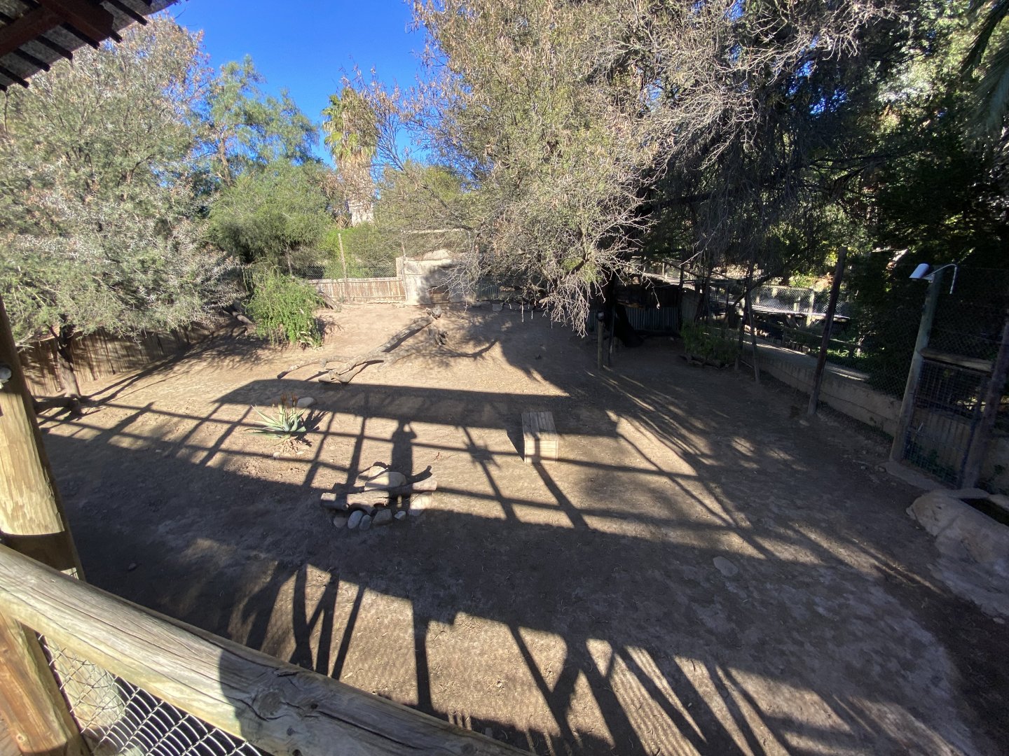 2nd half of cheetah enclosure