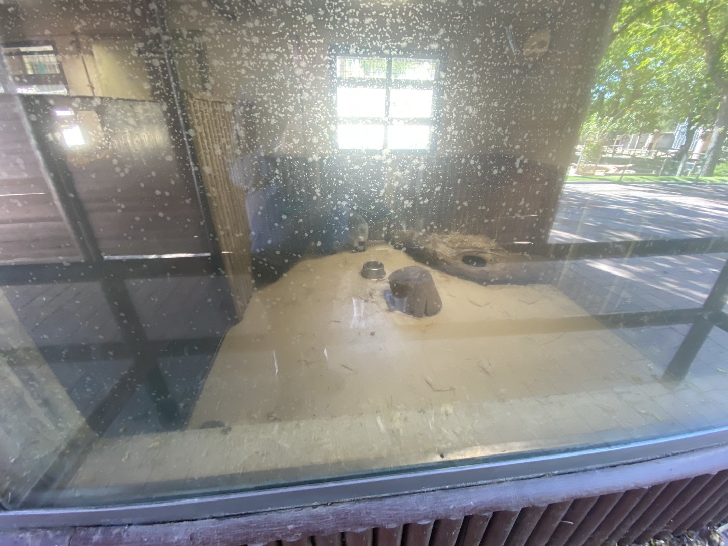 2nd half of indoor giant anteater enclosure