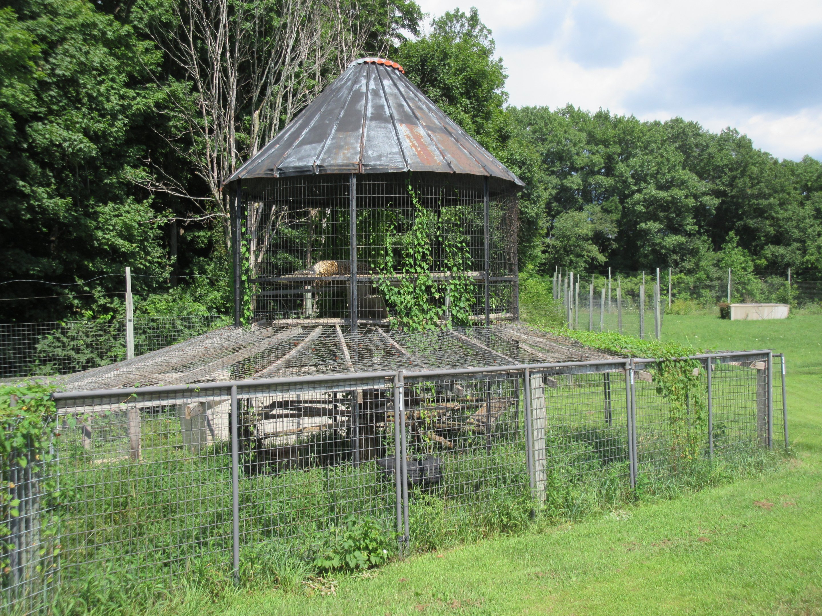 2nd Half of Leopard Exhibit