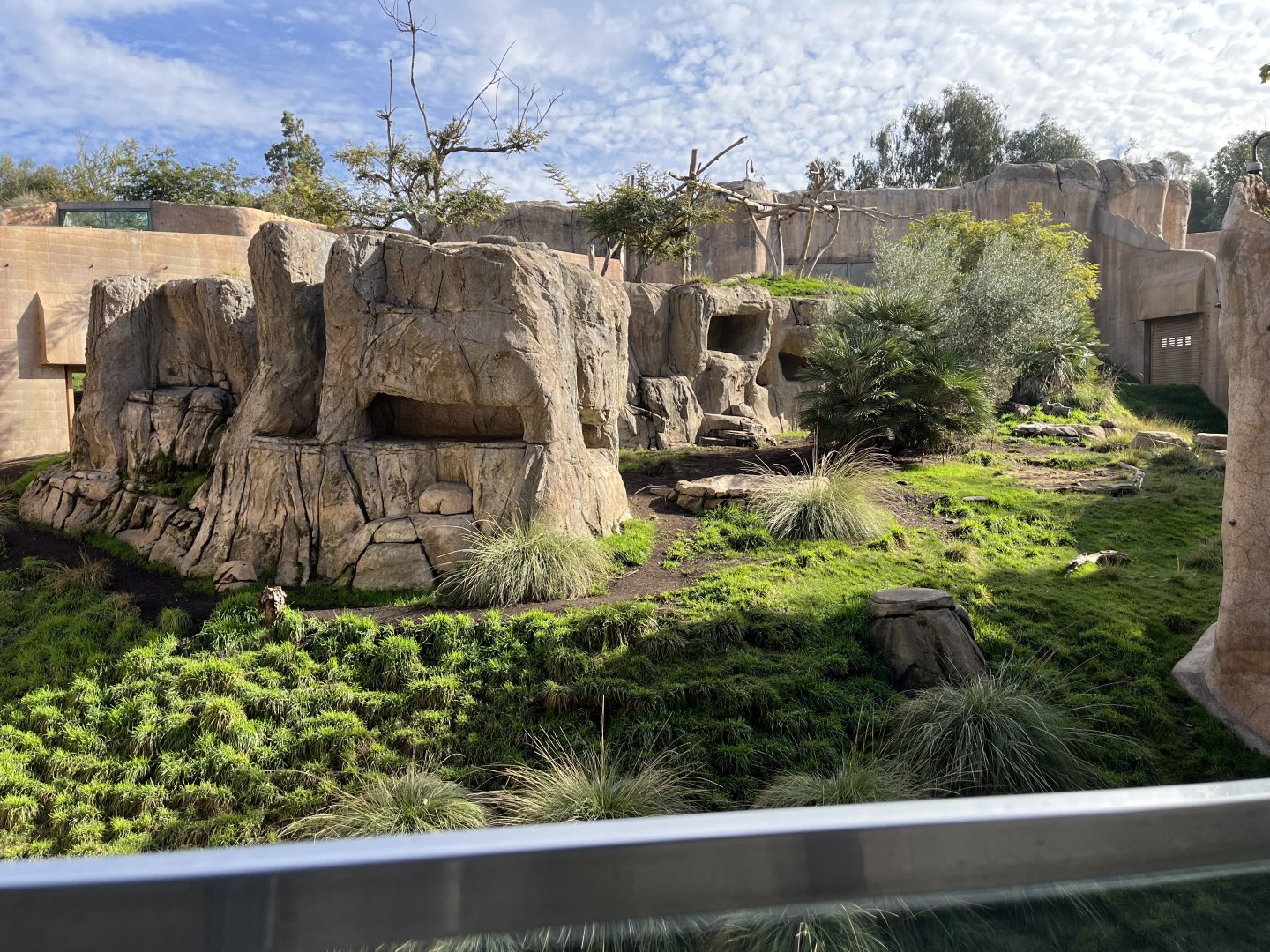 2nd hamadryas baboon exhibit