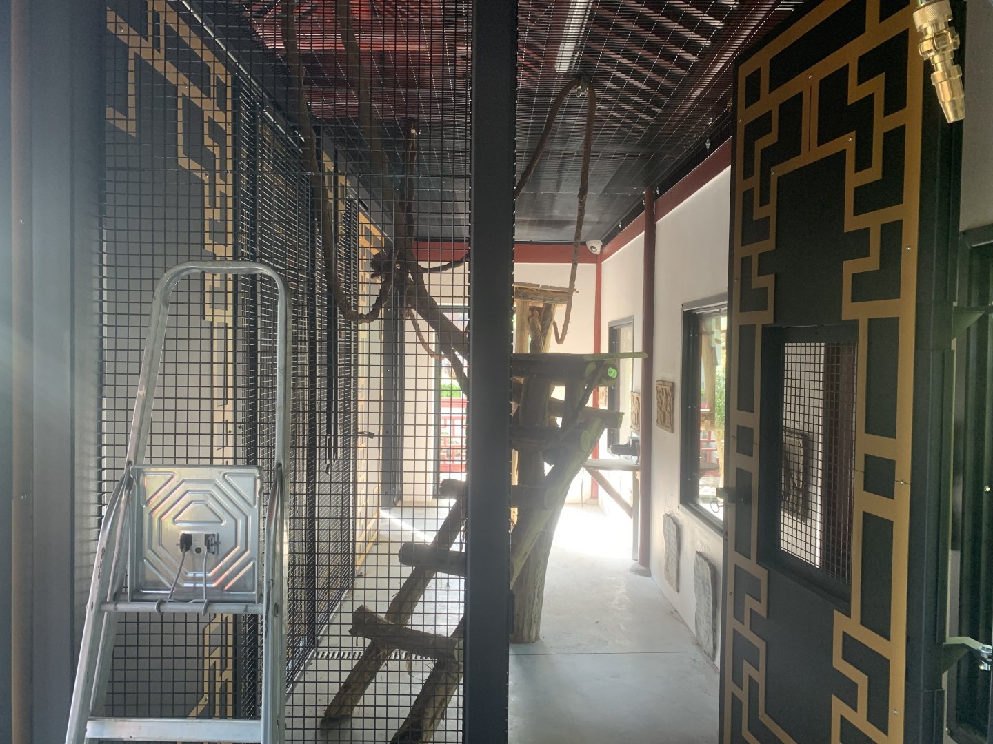 2nd indoor for new monkey species