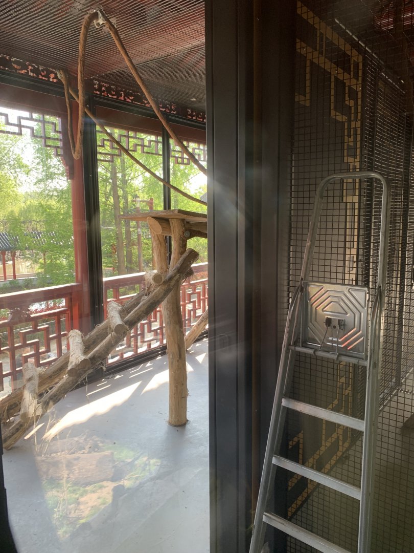 2nd indoor for new monkey species