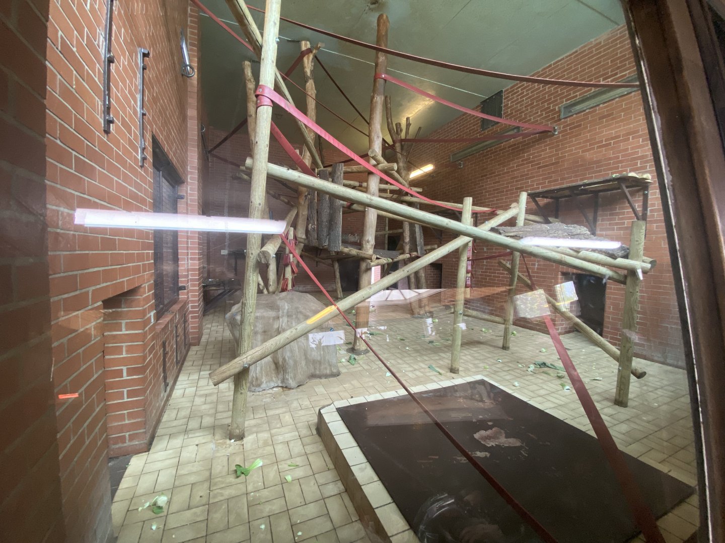 2nd indoor Francoi’s langur enclosure