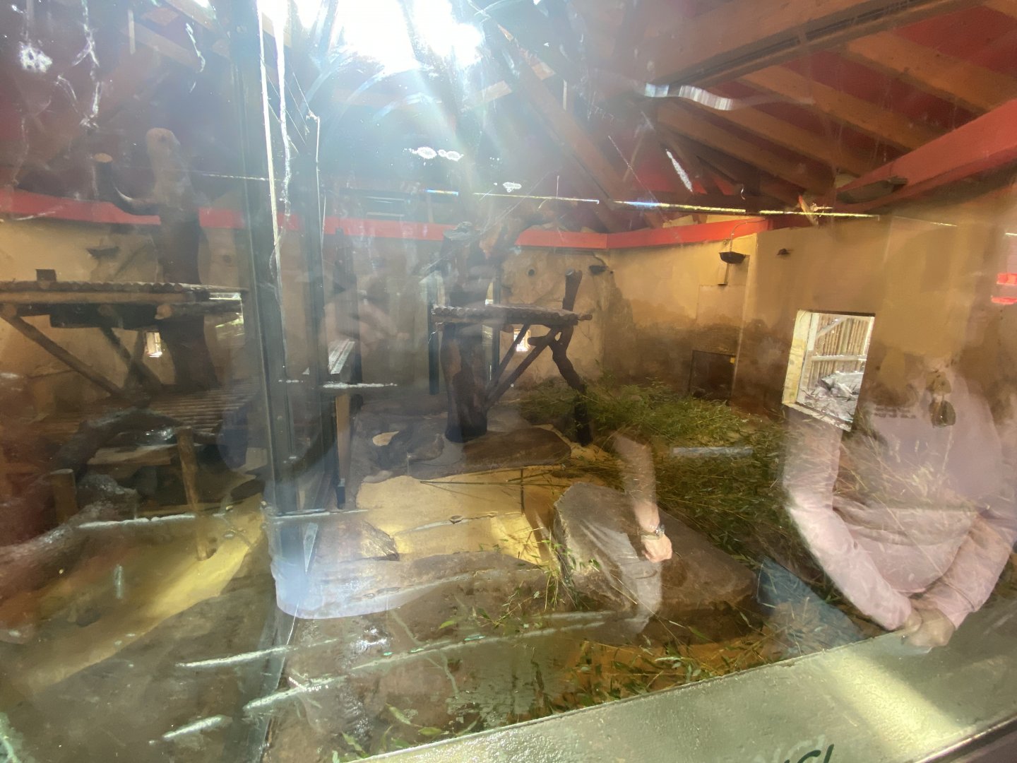 2nd indoor giant panda enclosure