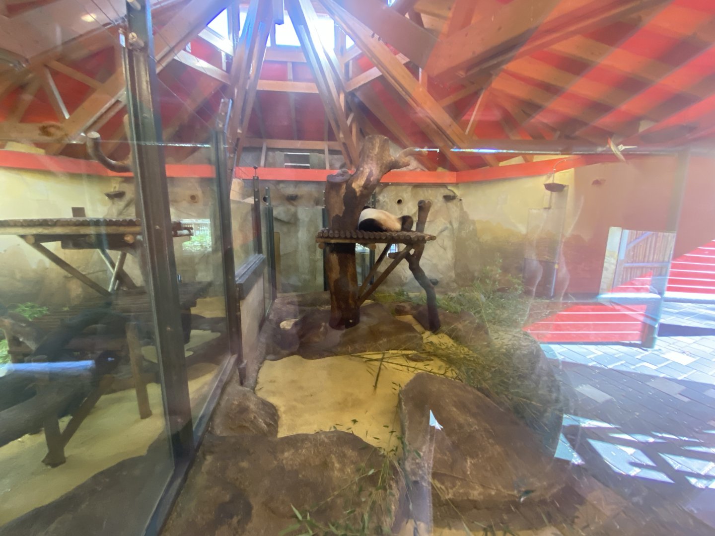 2nd indoor giant panda enclosure