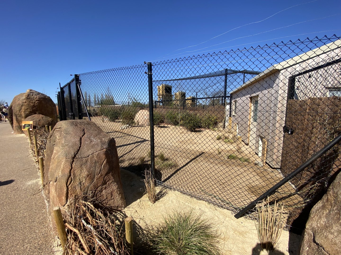 2nd Kirk’s dik dim enclosure