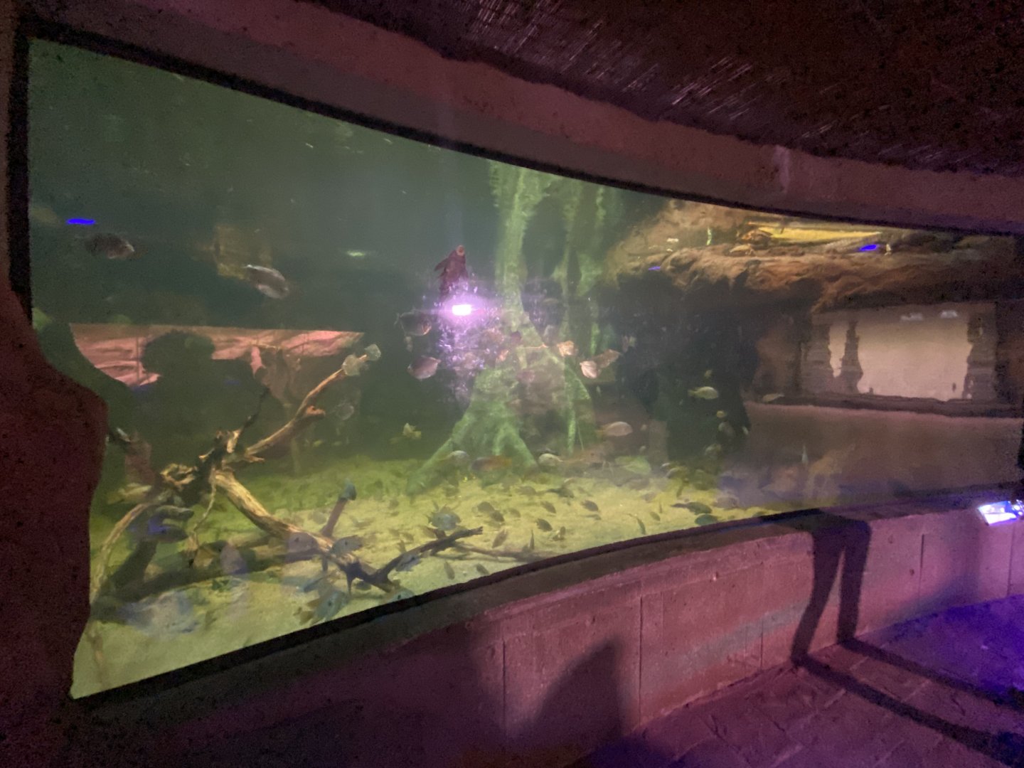 2nd large South American aquarium