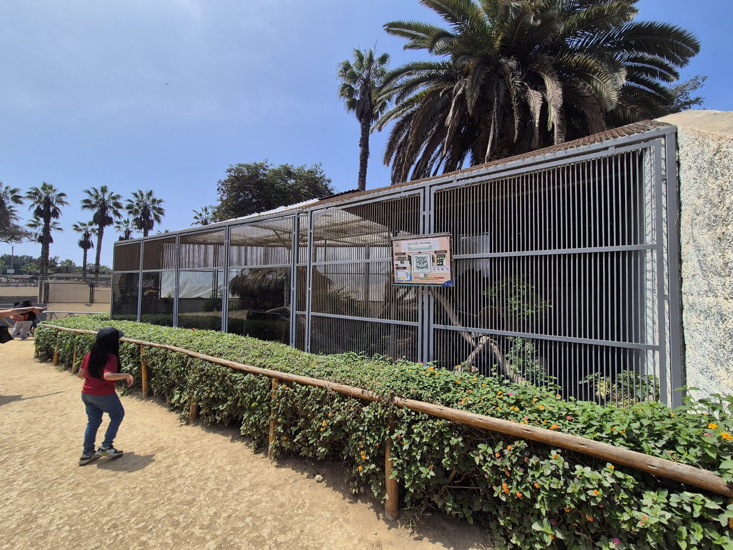 2nd Northern Colocolo exhibit