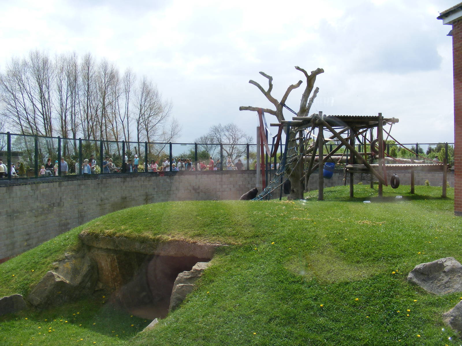 2nd outdoor gorilla area 2 May 2009