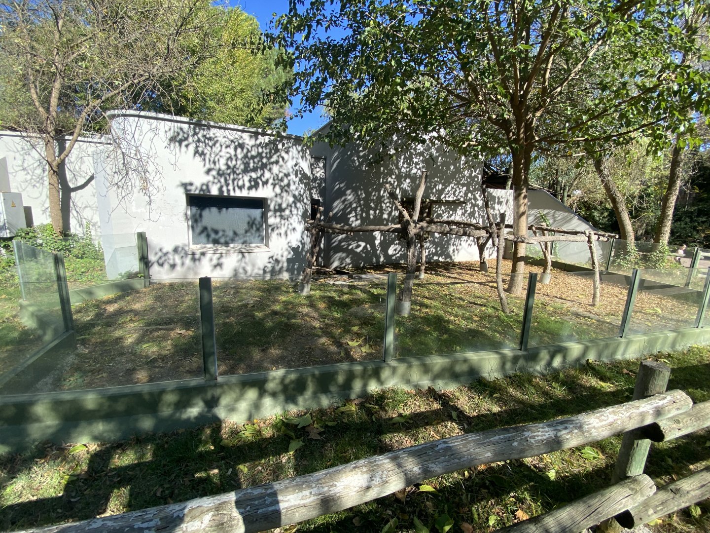 2nd outdoor koala enclosure