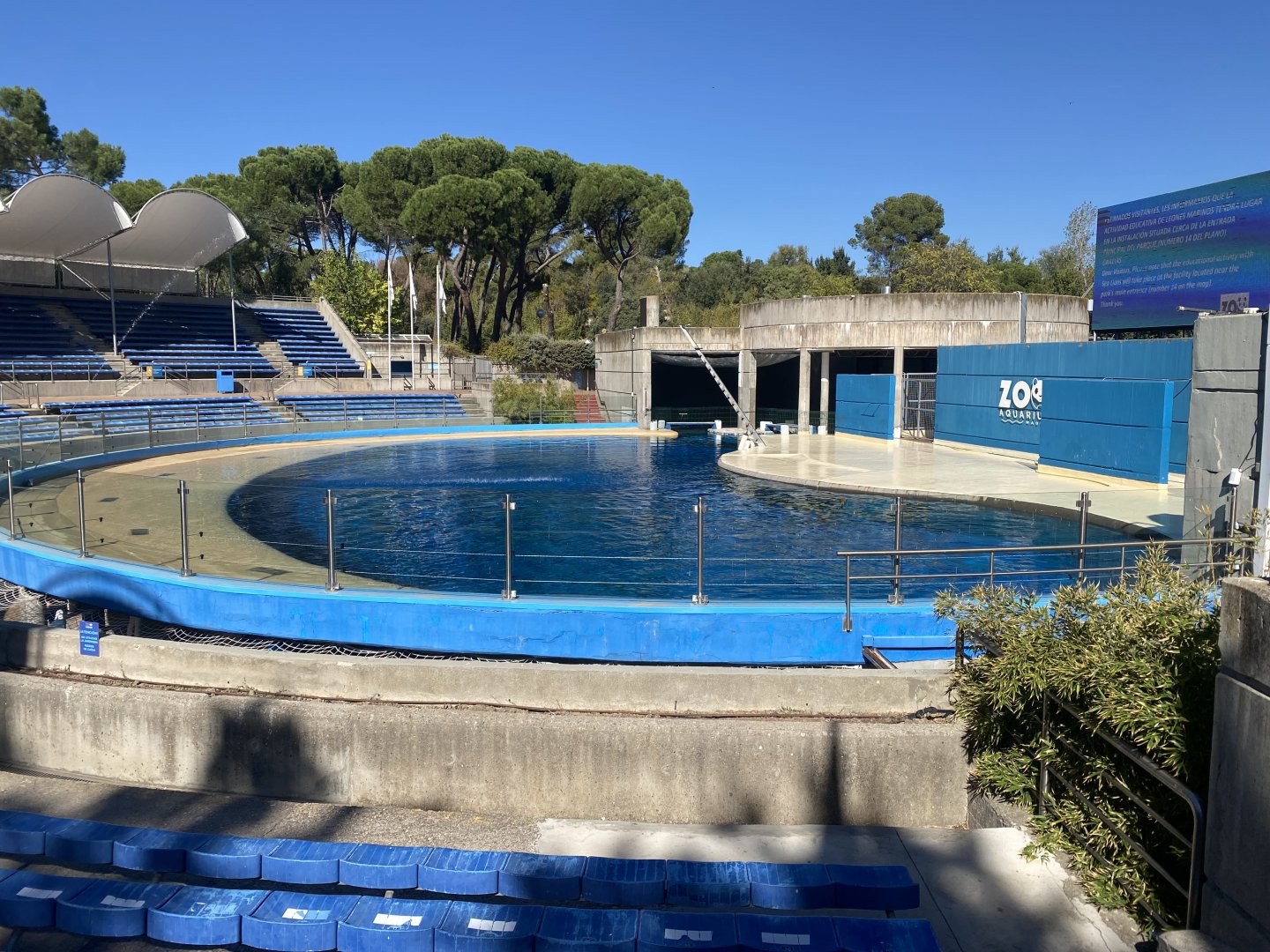 2nd Patagonian sea lion enclosure