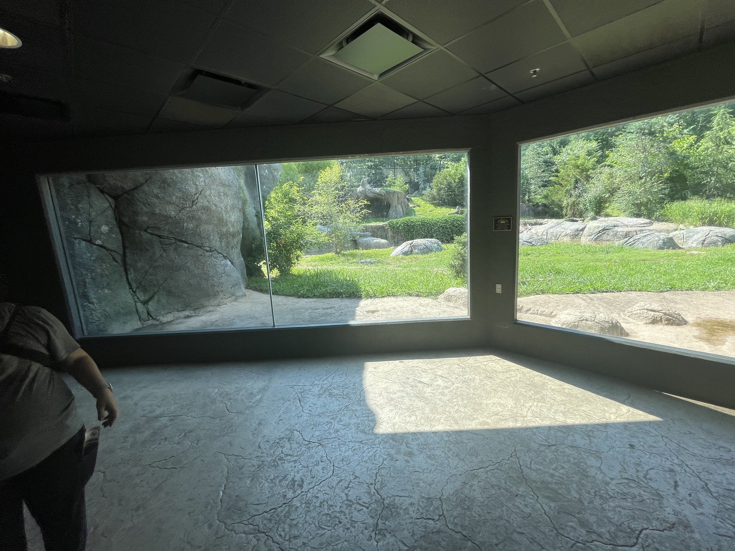 2nd Polar Bear Enclosure (No Show)