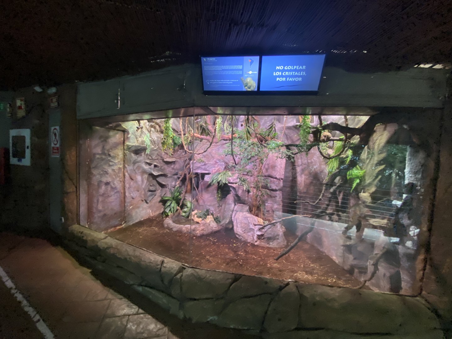 2nd Pygmy marmoset enclosure