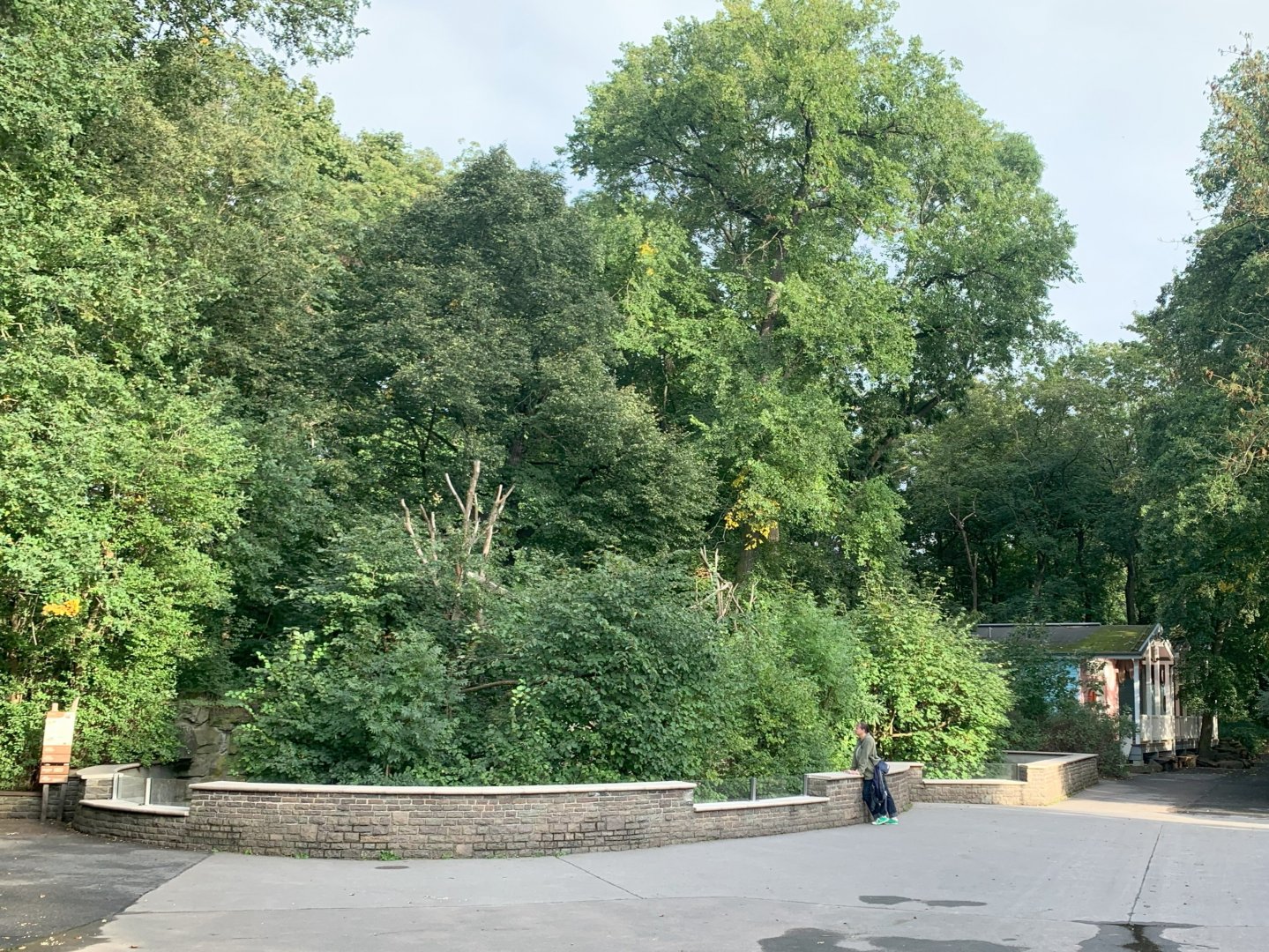 2nd Red Panda enclosure