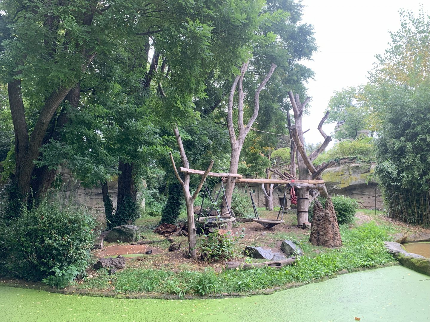 2nd Sloth Bear enclosure - Asia